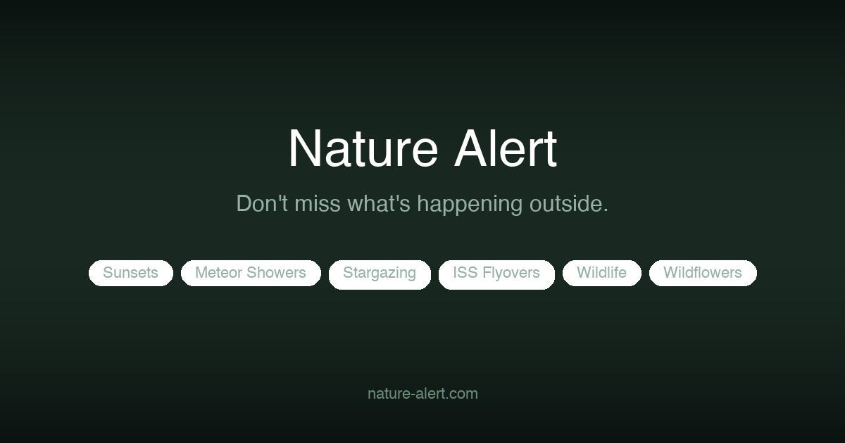 Nature Alert — Free Alerts for Sunsets, Meteor Showers, Aurora & More
